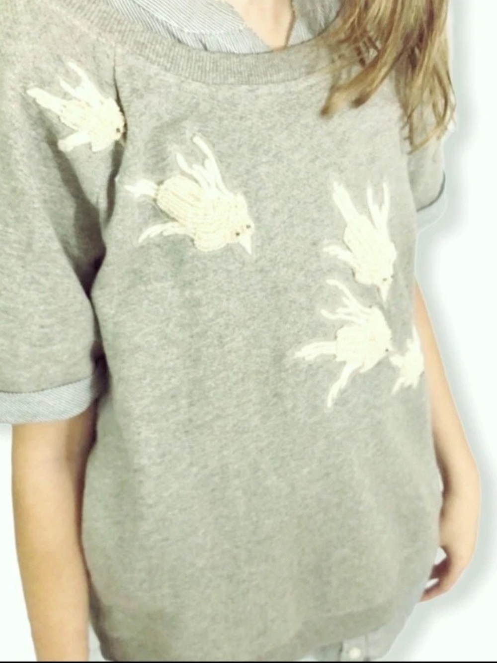 Anthropologie Floreat Flutter Bird Pullover Short Sleeved Sweatshirt size Small